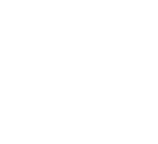 Cisco Partner Logo